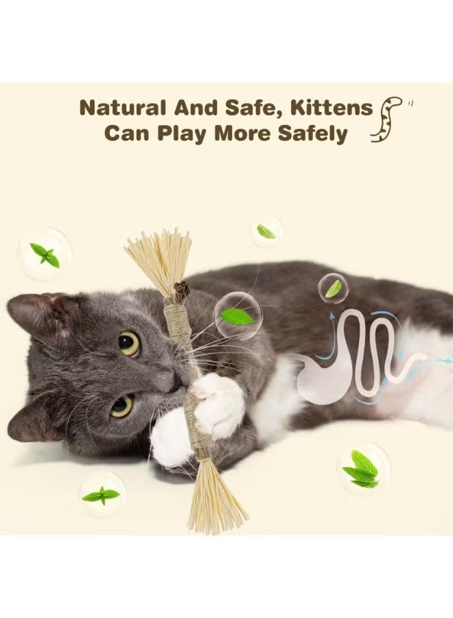 4 Pack Silvervine Sticks for Cats - Cat Chew Toy for Teeth Cleaning, Edible Matatabi Kitty Chew Sticks, Catnip Cat Toys for Indoor Cats (4 Sticks) - Image 3